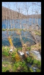 Plitvice -12-04-2025 - Bogdan Balaban
